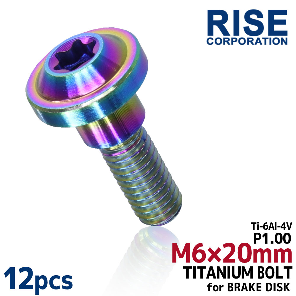 M6×20 P1.00 チタンボルト ブレーキディスクボルト 12本 6mm 20mm ピッチ1.0 ヤマハ FJR1300A TDM900 FZS1000フェザー XJR1300SP