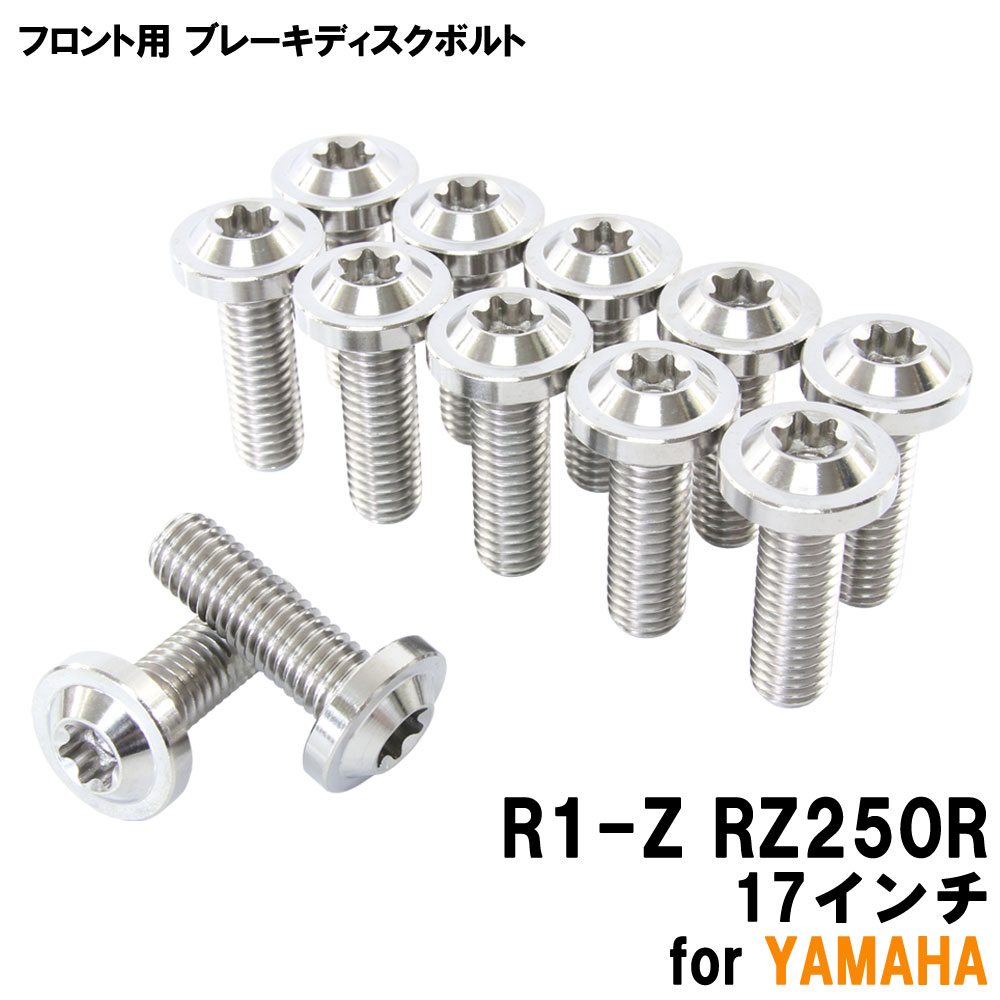 チタンボルト ヤマハ R1-Z RZ250R 17インチ専用 ブレーキディスクボルト フロント用 12本セット M8×25 P1.25 シルバー 軽量化 カスタム ネジ