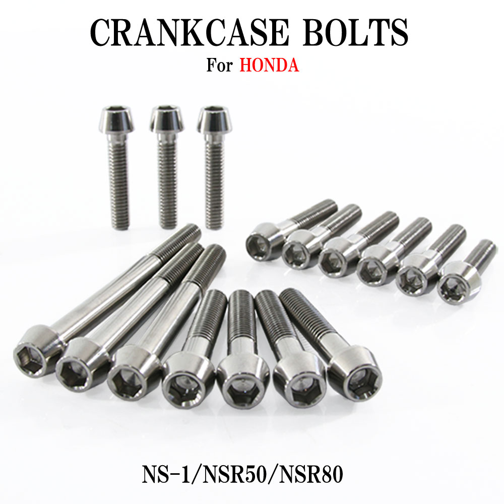 チタンボルト ホンダ NS-1 AC12 NSR50 AC10 NSR80 HC06専用 クランクケース エンジンカバー ボルト セット 16本 シルバー 軽量化 ネジ