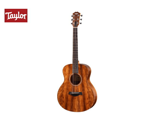baby taylor テイラー BT2 ミニギター　セット Taylor Baby Taylor BABY MAHOGANY BT2 マイク搭載! 【アンプに