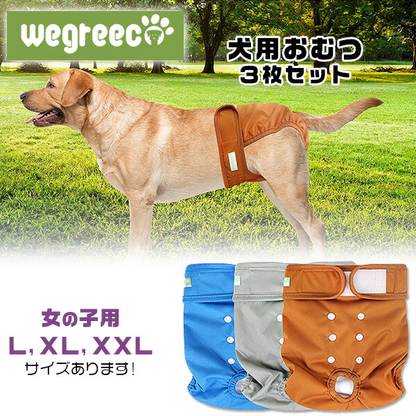 楽天市場 在庫有り ペット用 Wegreeco ウォッシャブル ドッグダイパー 女の子用 3枚セット Lサイズ Xlサイズ Xxlサイズ 犬用 マナーパンツ おむつ 生理 パンツ サニタリーパンツ マジックテープ 犬服 洗える オムツ メッシュ ペット 中型犬 大型犬 r Baby 1号店