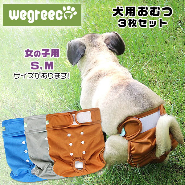 楽天市場 在庫有り ペット用 Wegreeco ウォッシャブル ドッグダイパー 女の子用 3枚セット Sサイズ Mサイズ 犬用 マナーパンツ おむつ 生理 パンツ サニタリーパンツ マジックテープ 犬服 洗える オムツ メッシュ ペット 超小型犬 小型犬 中型犬 r Baby 1号店