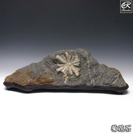 楽天市場】紅加茂石 水石 赤石 景石 磨き 鑑賞石 台付き 飾り石