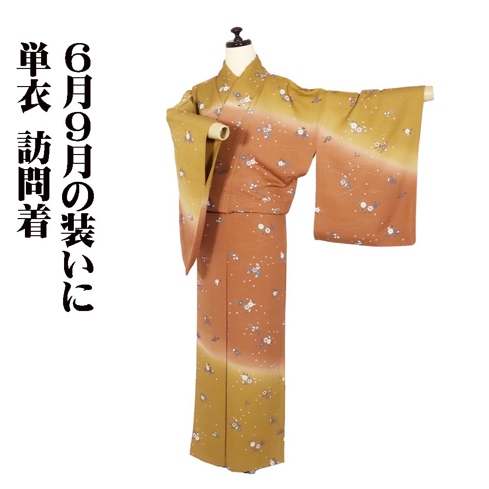 ＼ 20％offクーポン券 ／ 単衣 短い訪問着 正絹 赤茶 抹茶色 暈し 菊 桔梗 桜 13号 M大きさ ki32001 美品 ひとえ ほうもんぎ 夏御召しもの レディース フォーマル 貨物輸送無料  差し上げ物 差し上げ物