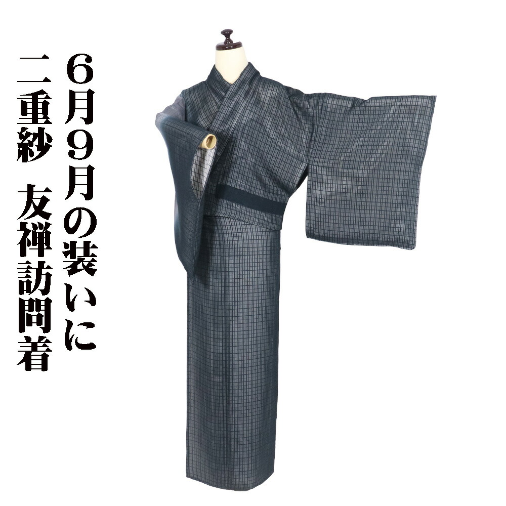 夏物着物 二重紗 紗織 付下げ 色無地 すすき 紅葉文様 正絹 y432 230625-i23062504.jpg