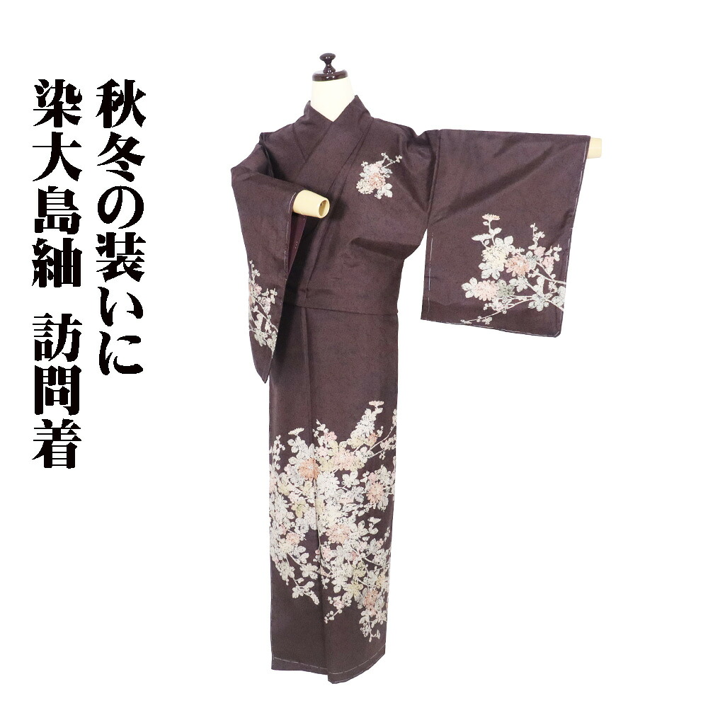 ＼ 20％offクーポン ／ 染大島紬 訪問着 袷 正絹 赤茶紫 薄緑 ローケツ染 菊 Lサイズ ki30990 新品 レディース シルク ギフト 30代 40代 50代 60代 送料無料