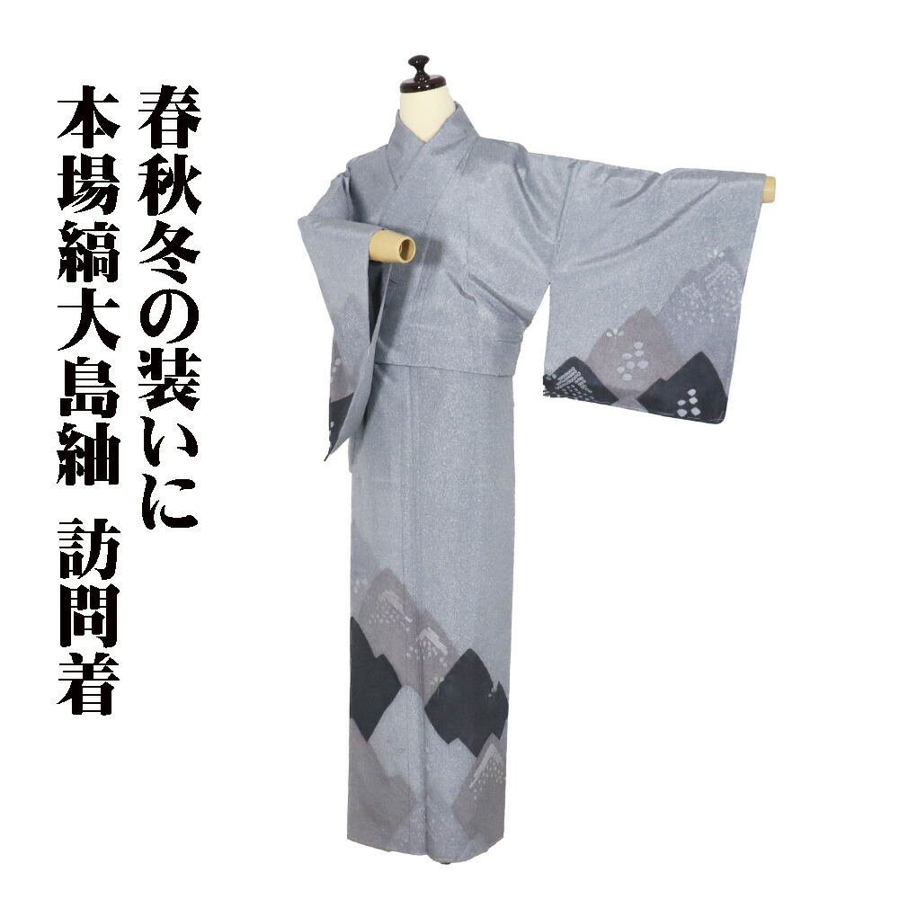 ＼ 20％offクーポン券 ／ 発祥地縞大島紬 絞り短い訪問着 袷 正絹 ともし火薄墨色 薄薄墨色 墨黒 絞り 遠山 鹿の子 箔 南天 S大きさ ki31097 未当て嵌める品 レディース 貨物輸送無料  差し上げ物 差し上げ物