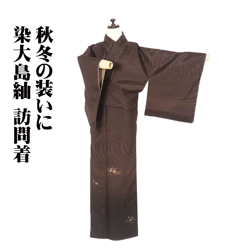 ＼ 特売品 ／ 染大島紬 訪問着 袷 正絹 濃茶 赤茶 流線 松葉 銀杏 紅葉 Lサイズ ki31294 未使用品 レディース シルク ギフト 30代 40代 50代 送料無料