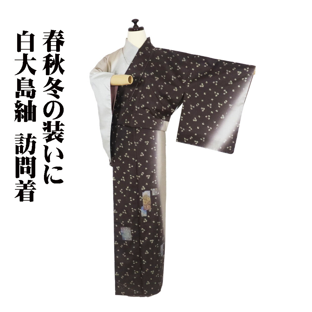＼ 20％offクーポン券 ／ 白大島紬 よこそ 短い訪問着 袷 正絹 薄薄墨色 抹茶色 小豆色 暈し 松 唐花 短冊文 S大きさ ki31491 未当て嵌める品 レディース 差し上げ物 貨物輸送無料  差し上げ物 差し上げ物