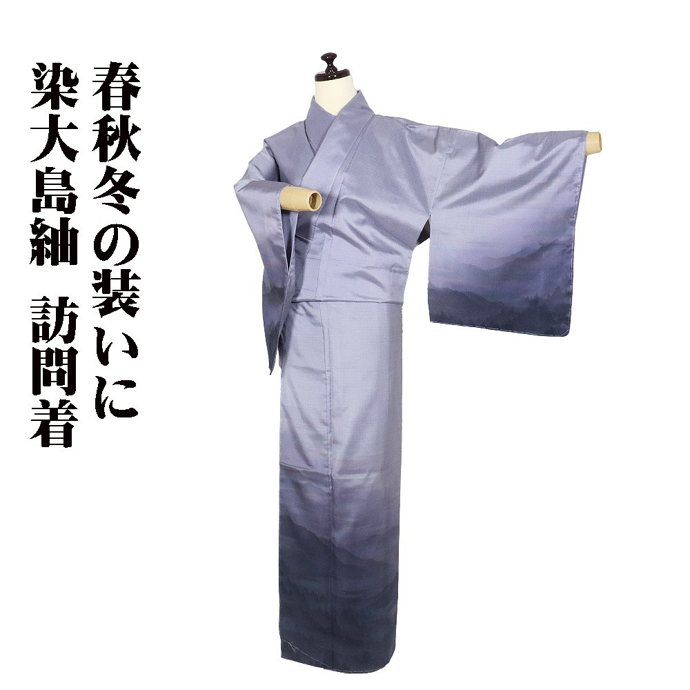 \ 20%offクーポン / 染大島紬 訪問着 袷 正絹 薄グレー 墨黒 紫 暈し 山水画 SMサイズ ki29752 新品 ほうもんぎ houmongi レディース シルク ギフト 送料無料 ギフト ギフト|さかえや着物