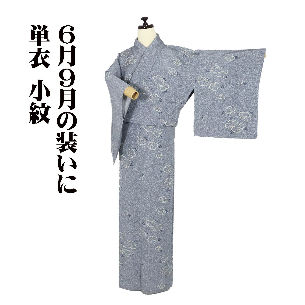 ＼ 20％offクーポン券 ／ 単衣 小紋 正絹 薄墨色 たたき染 椿 SM大きさ ki32044 美品 ひとえ 夏御召しもの hitoe レディース 地絹 差し上げ物 心地好い 貨物輸送無料  差し上げ物 差し上げ物