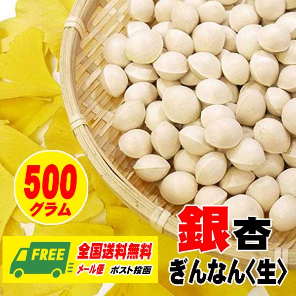 楽天市場】【冬季限定】藤九郎 ぎんなん 全国送料無料 サイズ混合 岐阜