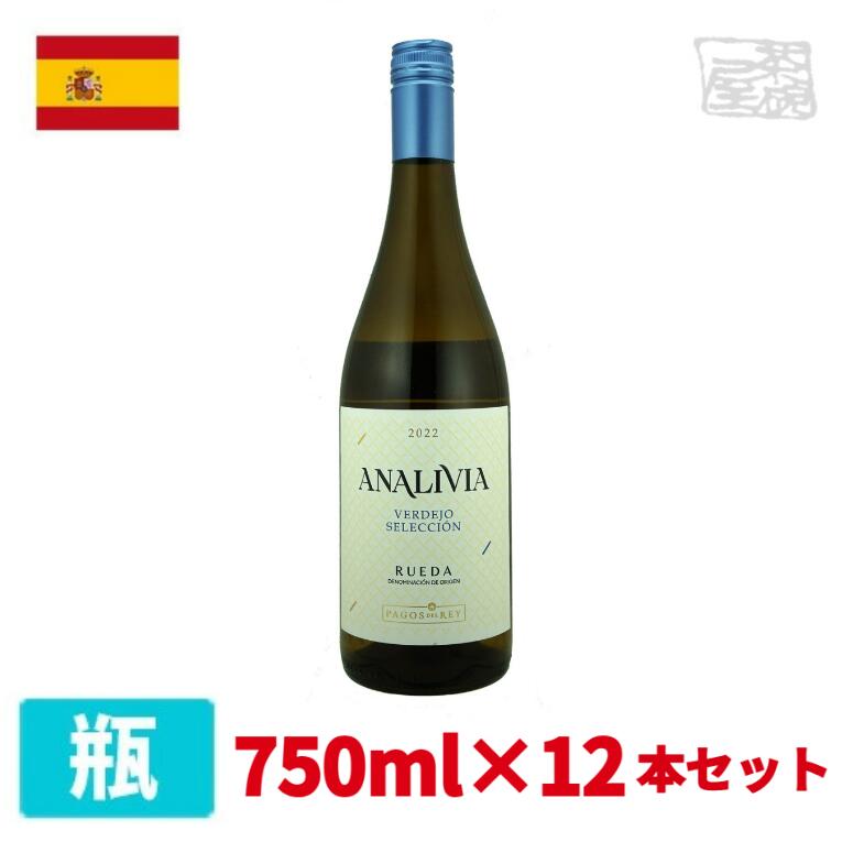 【送料無料】アナリヴィア ヴェルデホ 750ml 12本セット 白ワイン 辛口 スペイン｜酒の茶碗屋　店
