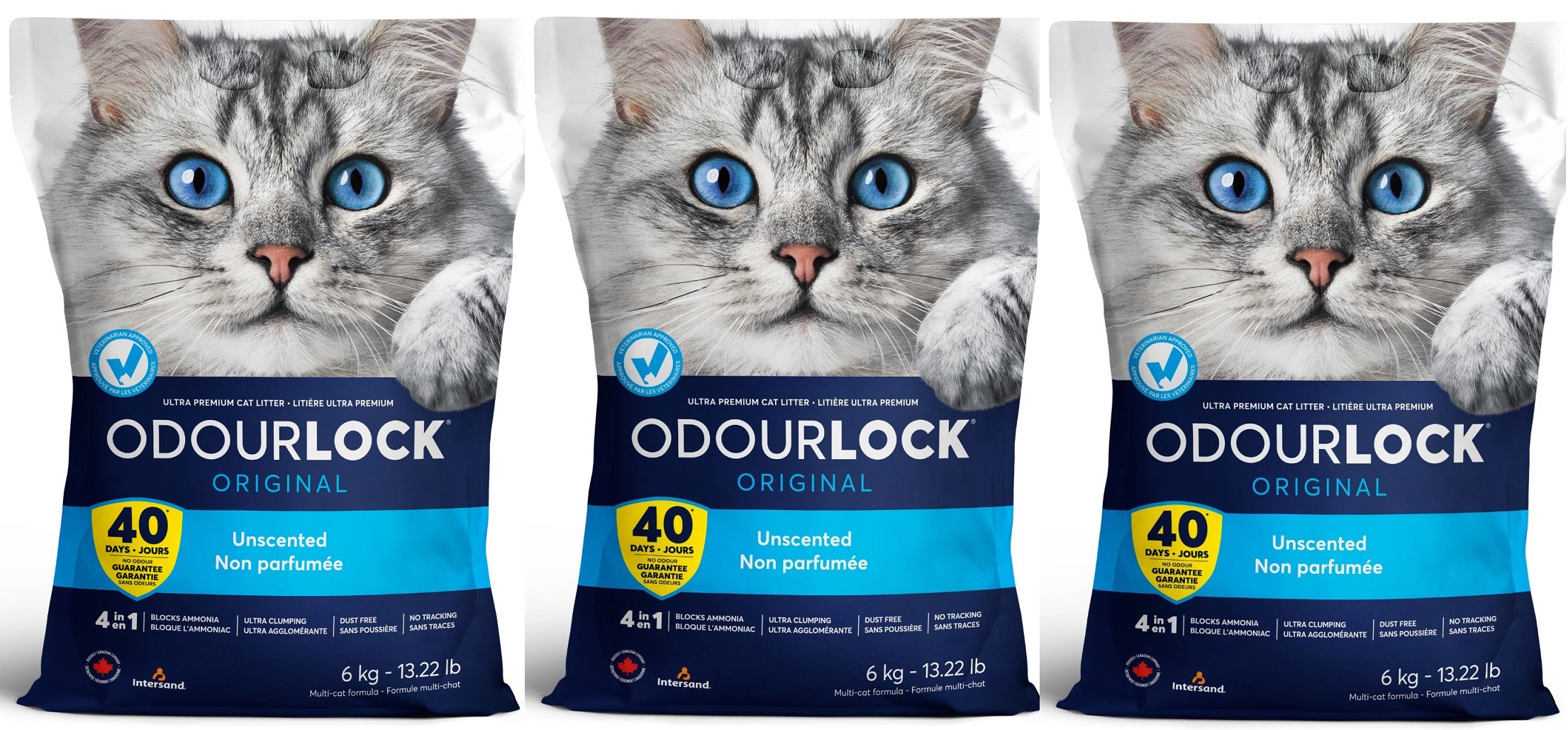 黒(￣(工)￣)猫 ライブロック 5kg 3個セット 正規品 インターサンド 猫砂 オードロック 6kg