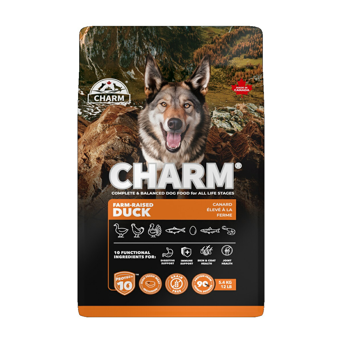 楽天市場】【1日限定エントリー＆抽選でP100％＋クーポン有】CHARM