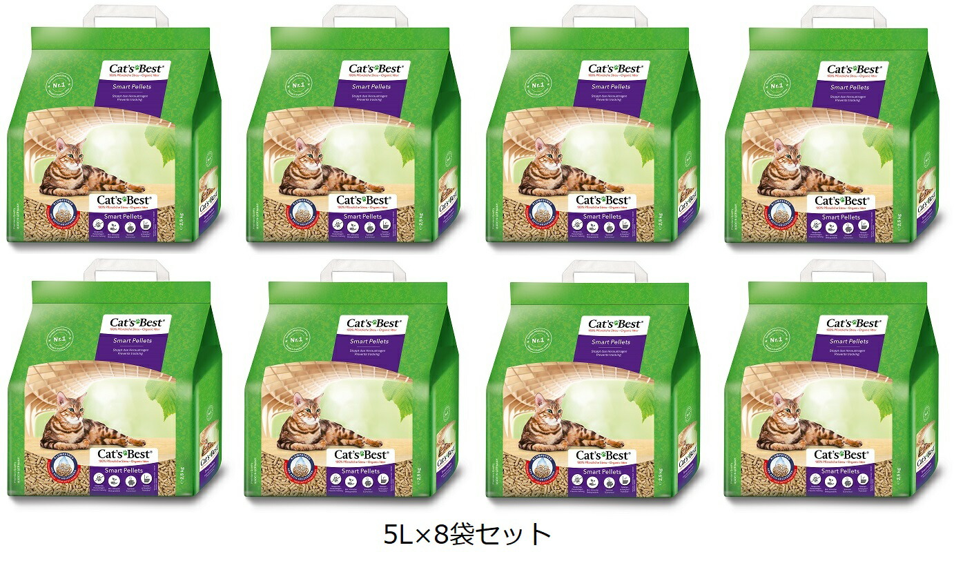 新着知らせ