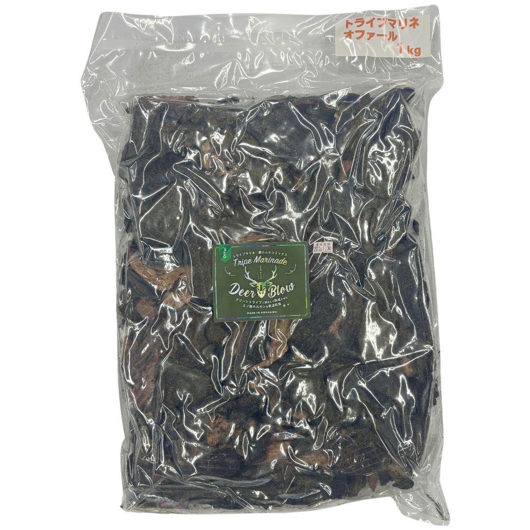 新着音沙汰