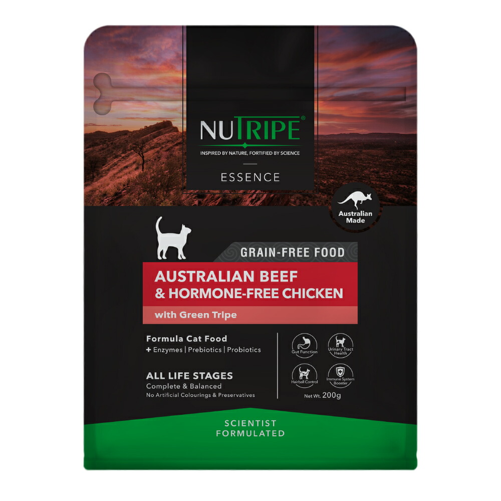 楽天市場】【20日限定エントリー＆抽選でP100％＋クーポン有】ニュー