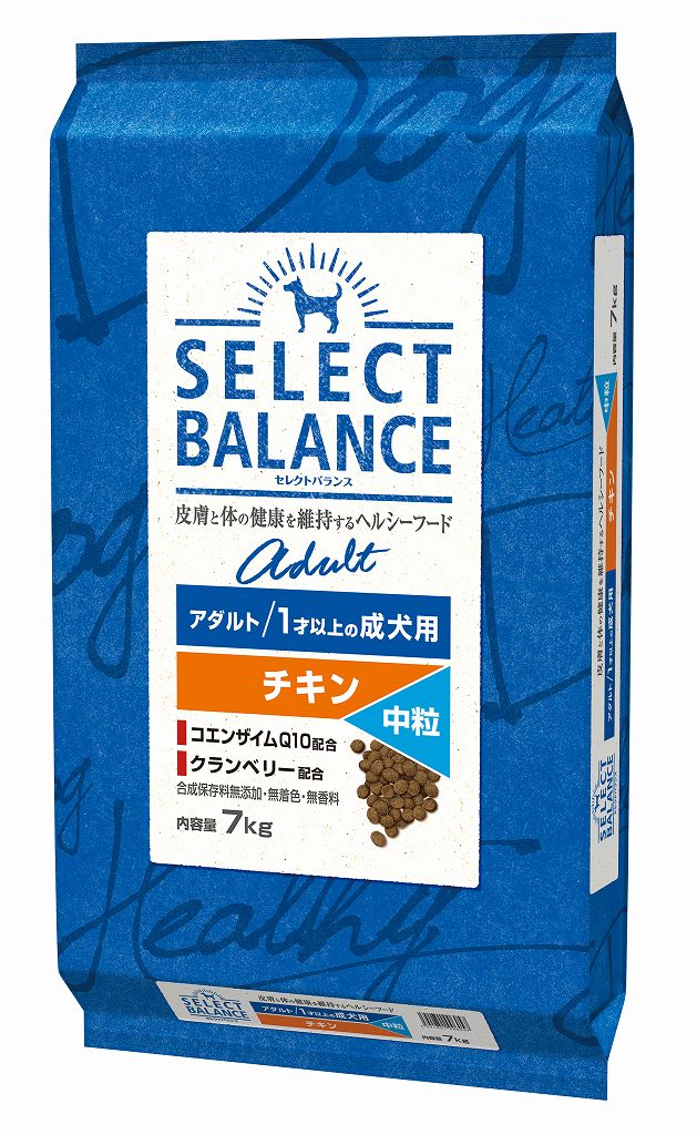新着案内書