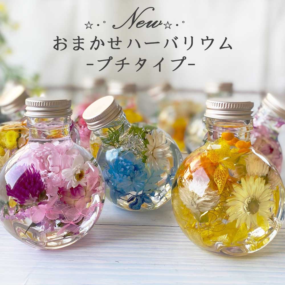 グラブルフェス2022 キャラクターイメージハーバリウム 4種 GOODS