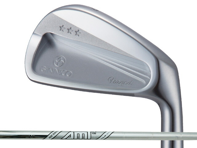 GINNICO (ジニコ) CB+ アイアン 5-Pw　Dynamic Gold AMT TOUR WHITEシャフト