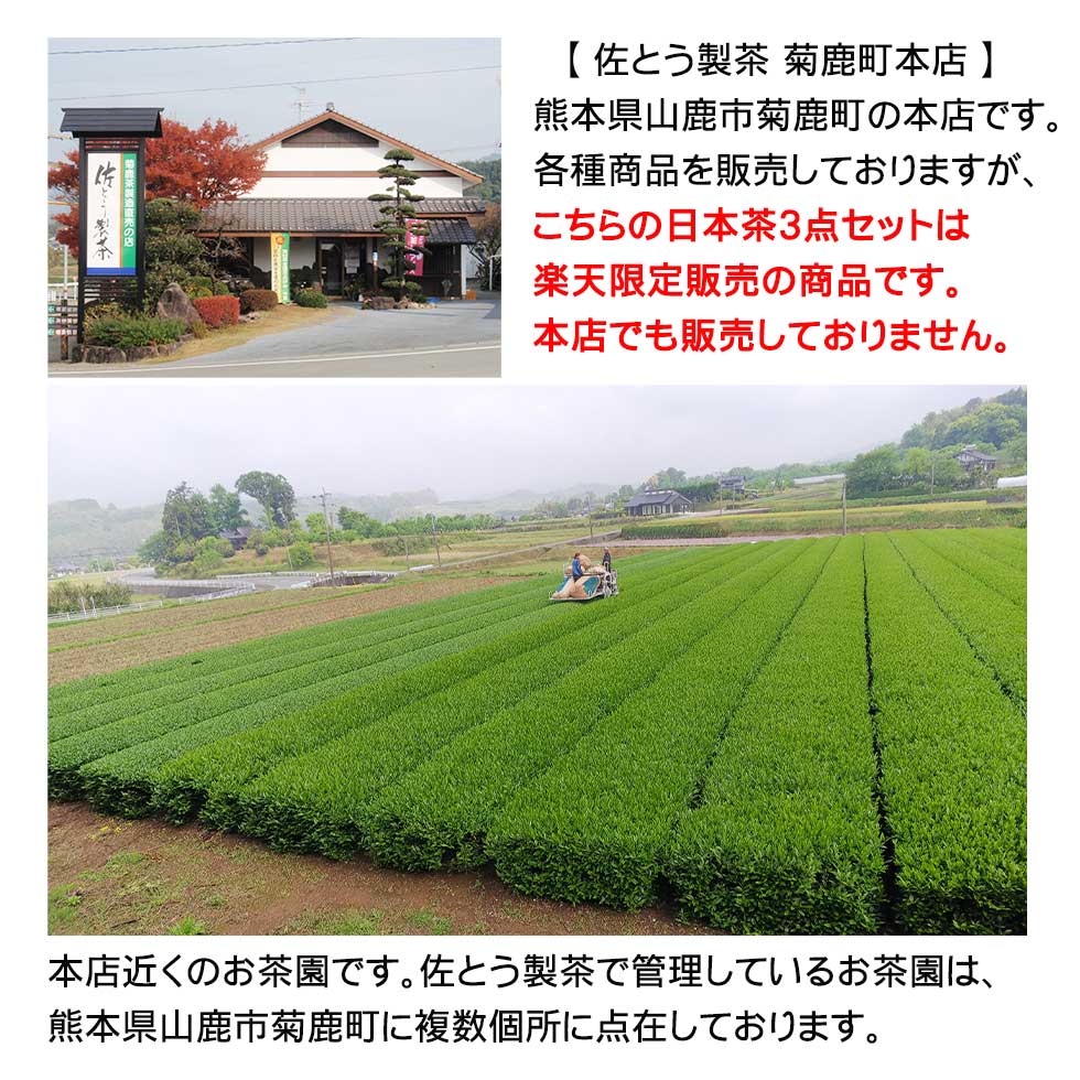 \半額!4月15日21時から5時間限定/\3セット以上で使える10%OFFクーポン/【楽天限定深蒸し茶70g入2本&粉末茶50g1袋計3袋セット】数量限定日本茶緑茶粉末緑茶お茶玄米茶白折ペットボトル500ml緑茶カテキン免疫SDGs