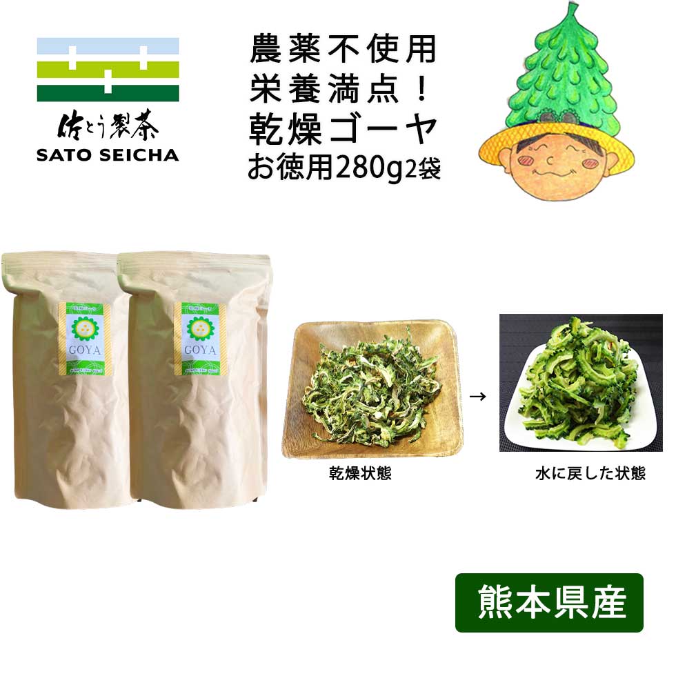 ＼23日20時スタート！15%OFFクーポン／【  国産 乾燥ゴーヤ 280g 2個  業務用 農薬不使用 無添加  】19,040円相当 2024年産 ゴーヤ ゴーヤ―  乾燥野菜 にがうり ビタミンＣ  エラブ 料理に使える 工場直売 熊本県  乾燥ゴーヤ