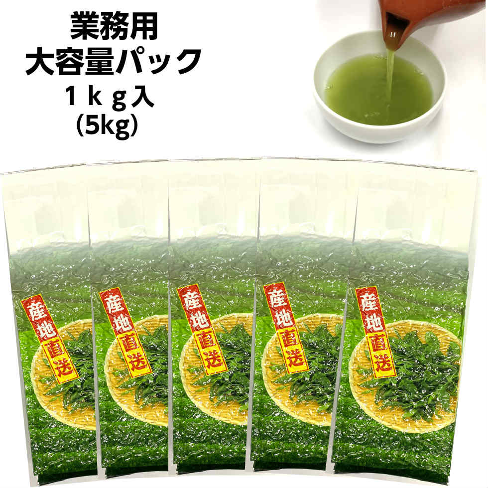 高級感 抹茶入 緑茶 業務用 1kg 5本セット 日本茶 大容量 お徳用 熊本県 健康 お茶 ペットボトル 500ml カテキン がぶ飲み 職場 抹茶 ポイント消化 1本あたり3250円 1本売りより330円お得 メール便送料無料対応可 Www Purpleforparents Us