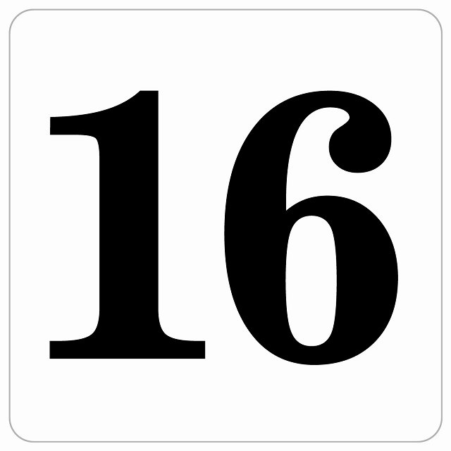【楽天市場】番号シール ナンバー シール 27x27cm ホワイト 数字 16 案内板 野球 スポーツ 道具 イベント会場 会議室 部屋番号 ...