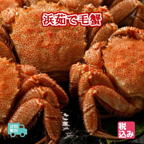 【送料無料】北海道産　浜茹　毛蟹　３ハイ（約１.２ｋｇ）上級堅蟹（カタガニ）のみをクール便で送付！！