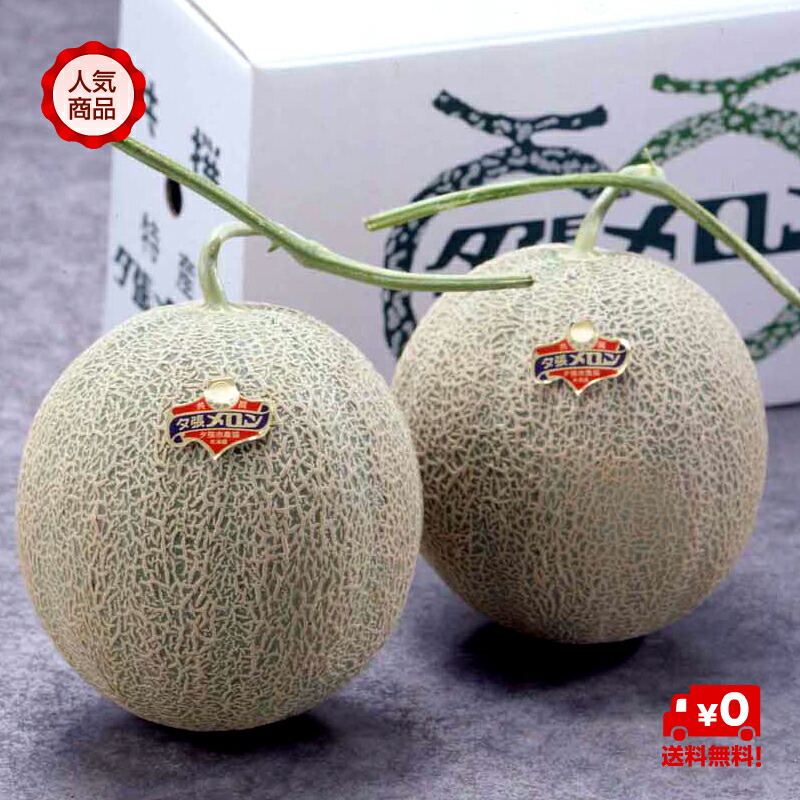 【予約販売中】北海道名産 共撰　夕張メロン　優品　２玉（約２.７ｋｇ）ＪＡ夕張市が誇る北海道の夏を代表する特産物！！【送料無料】【お中元ギフトＮＯ１】