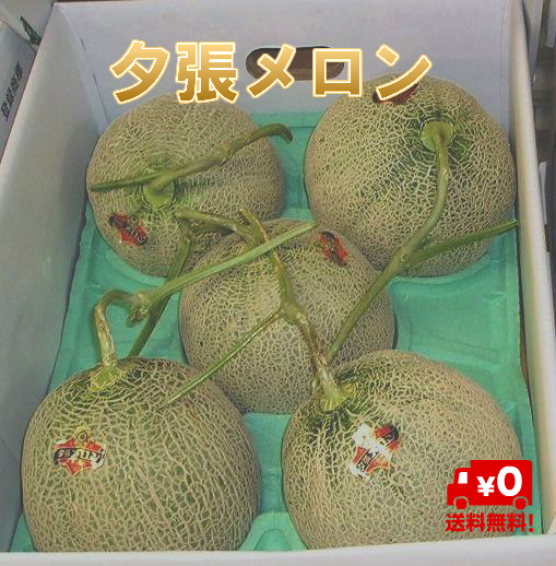 最安値に挑戦 楽天市場 北海道名産 共撰 夕張メロン 良品 ５玉 約８ ０ｋｇ ｊａ夕張市が誇る北海道の夏を代表する特産物 送料無料 お中元ギフトｎｏ１ 北海道シーファーム 国内最安値 Blog Belasartes Br