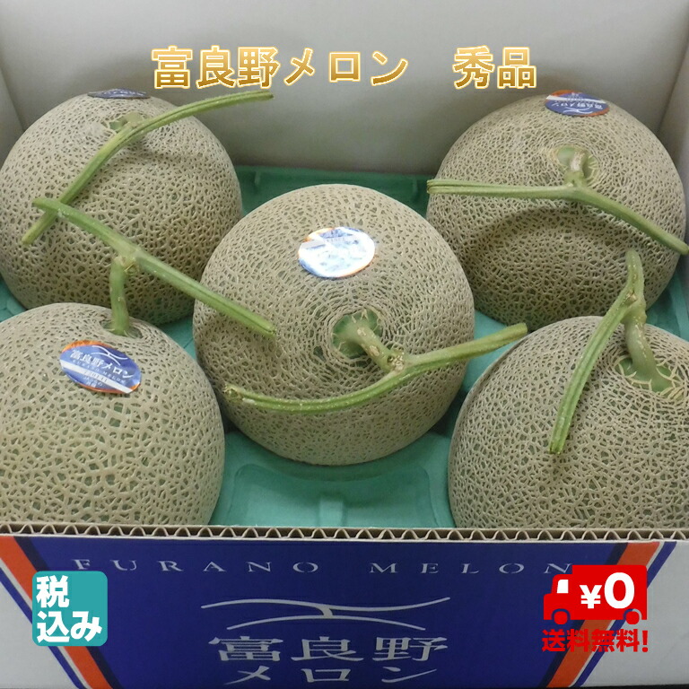 北海道 ふらの産 富良野メロン 秀品5玉 8.0kg 高糖度 富良野レッドメロンの逸品【7月中旬発送開始】【送料無料】|北海道シーファーム