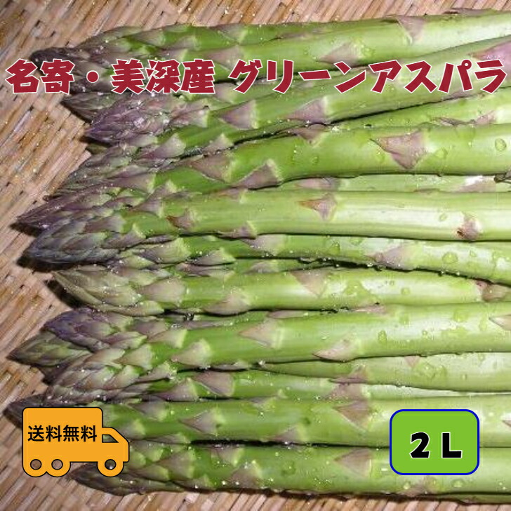 特選アスパラガス　北海道　名寄・美深産　グリーンアスパラ（露地アスパラ）　２Ｌ　１．５ｋｇ（500ｇｘ3）【５月下旬発送開始】【送料無料】