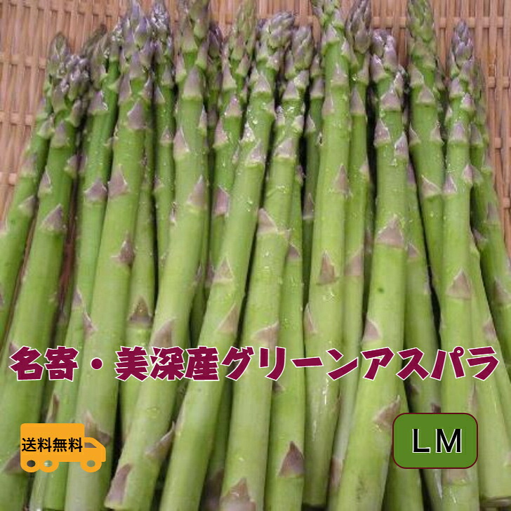 【予約販売】特選アスパラガス　北海道　名寄・美深産　グリーンアスパラ（露地アスパラ）ＬＭ 1.5ｋｇ（500ｇｘ3）【５月下旬発送開始】【送料無料】