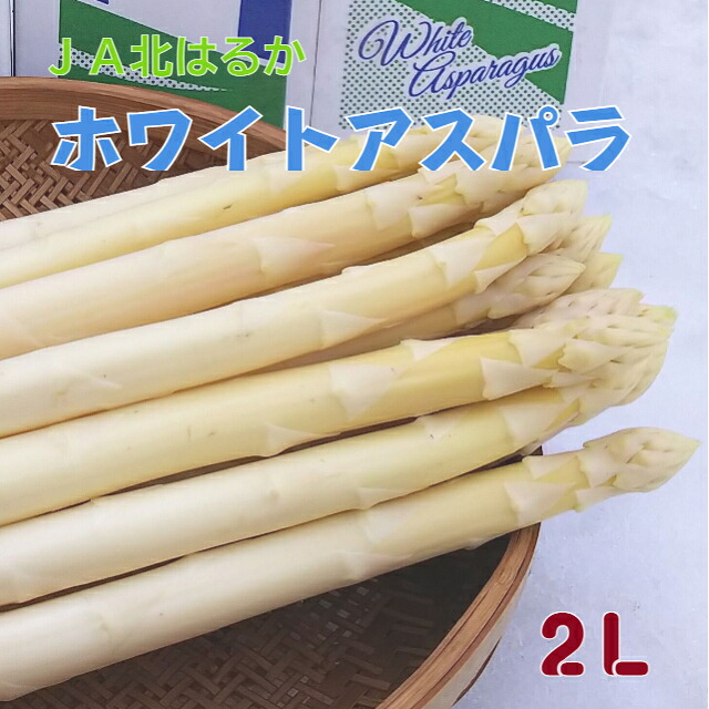 【予約販売】北海道美深・下川産 ＪＡ北はるか　ホワイトアスパラ　２Ｌ　８００ｇ【送料無料】