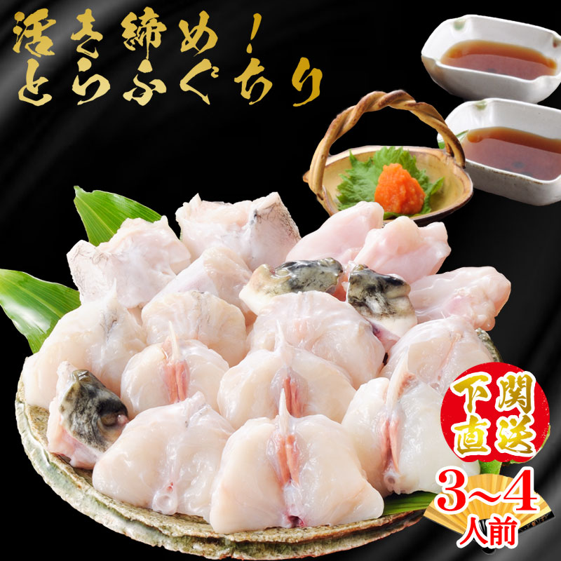 父の日 ふぐ 送料無料 早割 お取り寄せグルメ 朝獲れ活締め冷蔵とらふぐ鍋セット500ｇ（3～4人用） てっちり ふぐちり ふぐ鍋