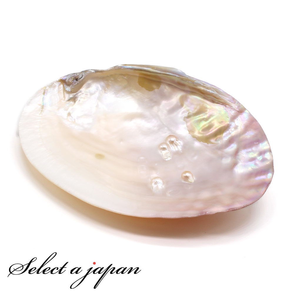 楽天市場】【 アバロンシェル 】 天然 自然 貝殻 皿 スマッジング 浄化