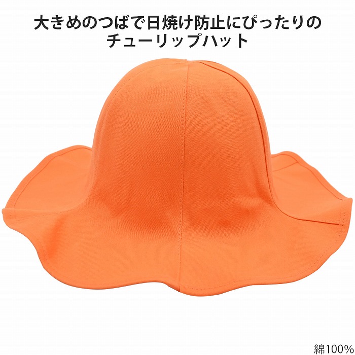 111604orange0.jpg