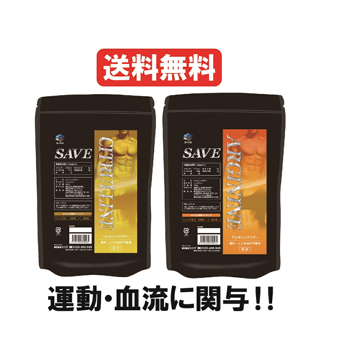 楽天市場】カルニチン 1食7円！ 【 送料無料 】 SAVE カルニチン パウダー 500g 無添加 【代引不可】【レビューを書くと300円引き  クーポン 配布】 : シープウィング