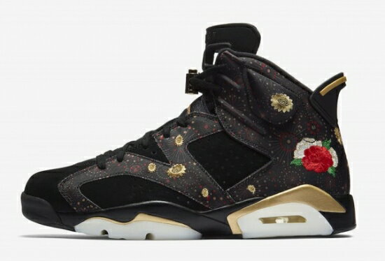 the new jordan 6s