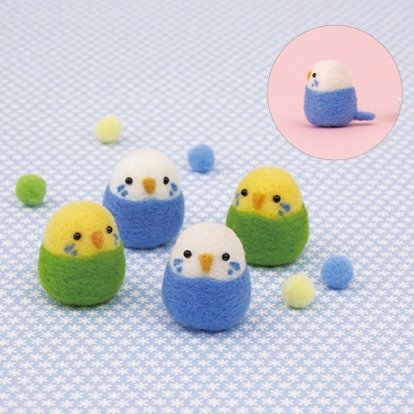 楽天市場】アクレーヌスターターセット付き 赤ちゃんインコ
