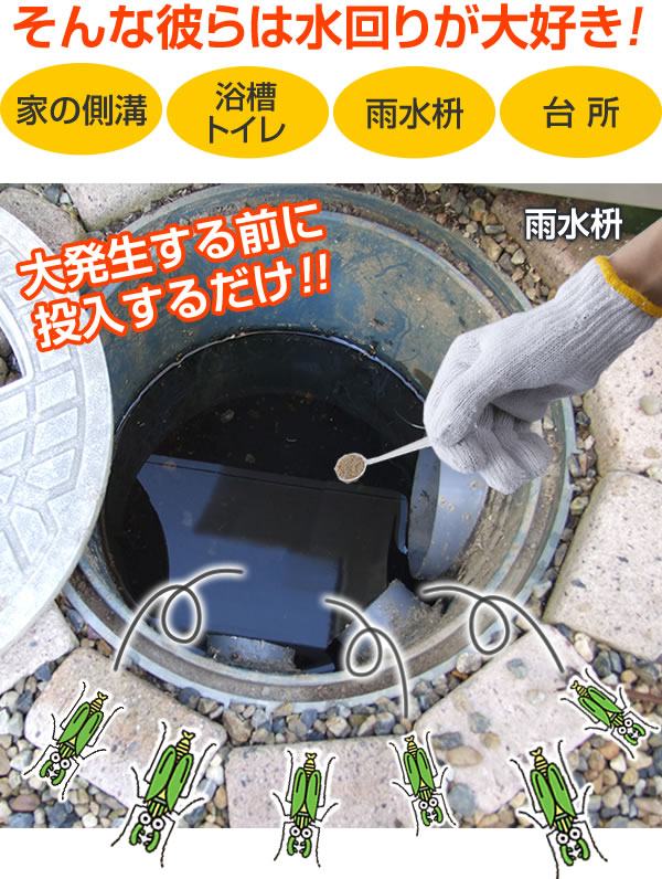 ユスリカ・チョウバエ ブロック 粒剤 50g ユスリカ 駆除 チョウバエ 退治 コバエ 対策 害虫駆除剤 メール便 送料無料|スマイルキューブ
