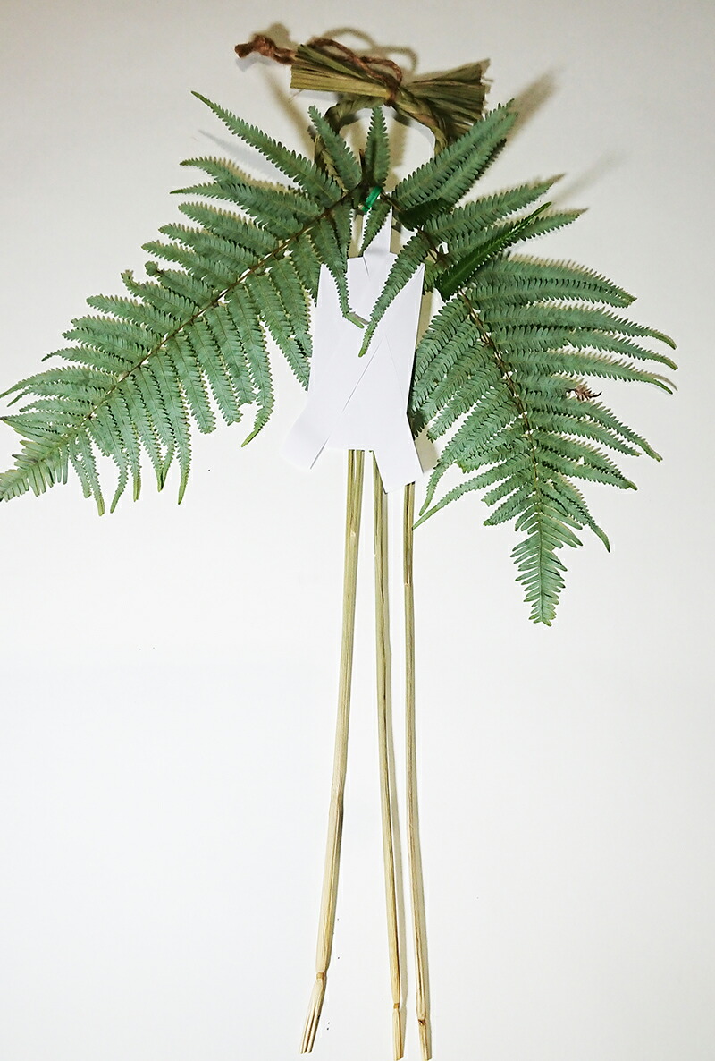 楽天市場 輪飾り５本組 生ウラジロ付 生輪飾り お正月飾り お正月しめ飾り お正月リース 輪飾り ソーコショップ