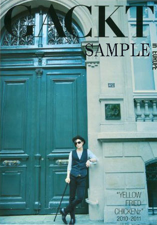 Rcp Sora ｙｅｌｌｏｗ ｉｎ 本 グラビアアイドル タレント写真集 ｅｕｒｏｐｅ ｙｅｌｌｏｗ ｇａｃｋｔ 写真集 ｃｈｉｃｋｅｎｚ 10 11 本 Dvd Blu Ray映画やアニメならsora ｇａｃｋｔ ｆｒｉｅｄ