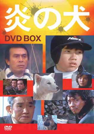 無料長期保証 楽天市場 炎の犬 Dvd Box Dvd Dvd Blu Ray映画やアニメならsora 超激安 Lexusoman Com