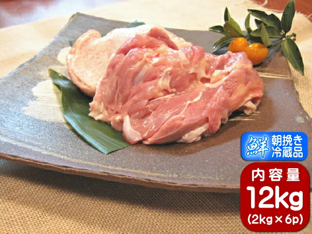 香川県産 鶏肉 健味鳥 人気ブランドを 売り切れ必至 もも肉 国産 12kg 業務用 若鶏もも肉 1ケース