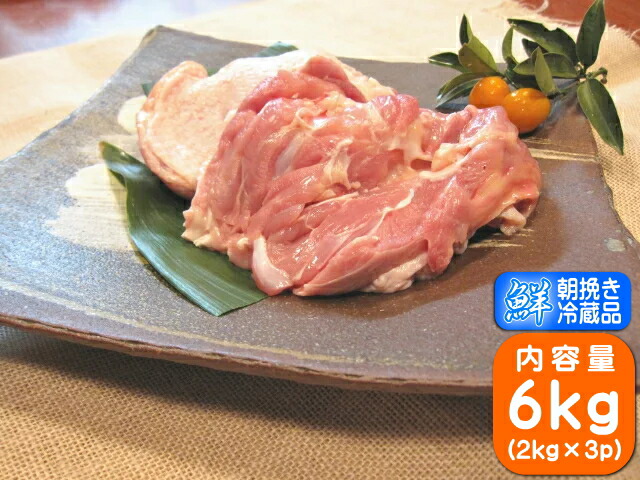 香川県産 さぬき匠の若どり もも肉 国産 鶏肉 業務用 <br>若鶏もも肉 業務用サイズ 6kg(2kg×3個)