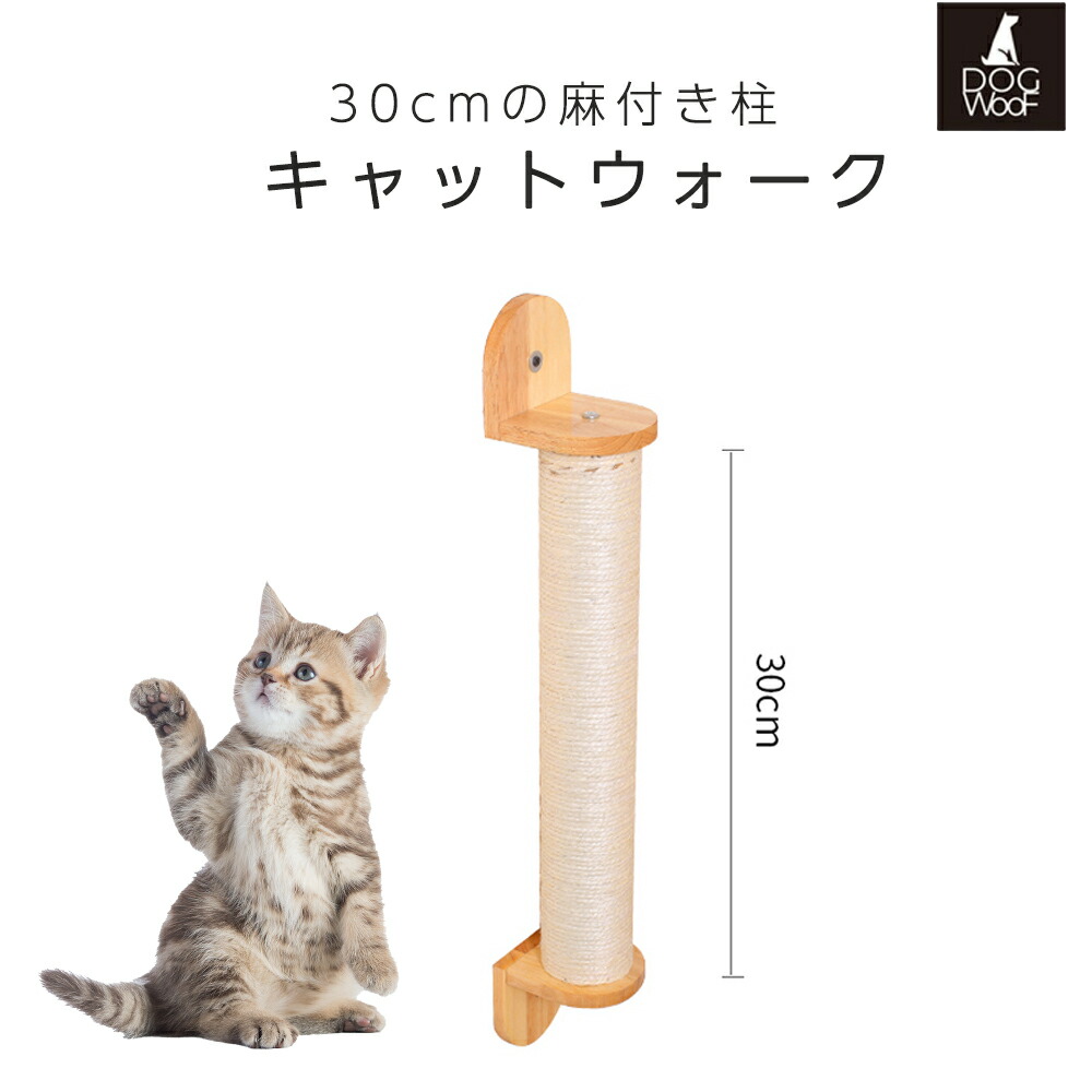 楽天市場】キャットウォーク 猫 壁掛けドーム型 天然木 無垢材 キャットステップ 壁付け キャットタワー 猫階段 6角形カプセルBOX アクリルドーム  : ST-MART