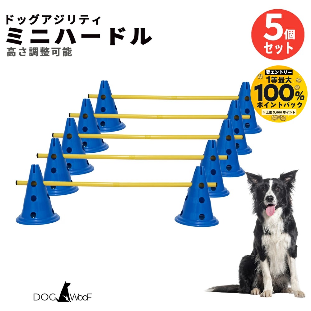 フェイクグリーンが百貨店SALEで最大限度50%OFF